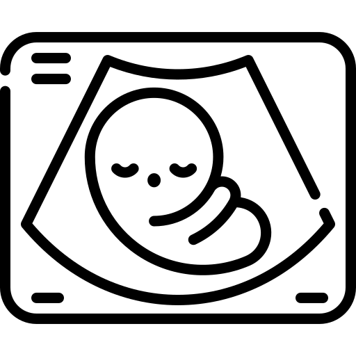 Bienestar fetal